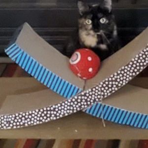 Meet your Posher, Mickey